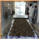 中草藥微波干燥機