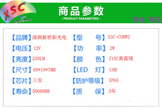 5730COB长条形透明雾状透镜注塑模组图片5