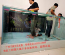 广州鱼缸定做、广州大型亚克力鱼缸定做