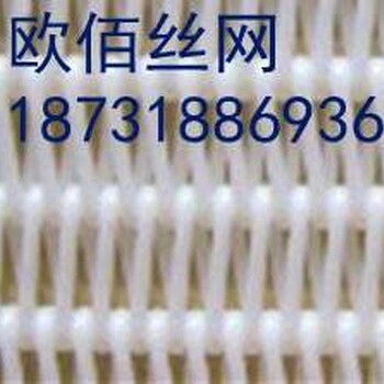 聚酯螺旋網(wǎng)輸送網(wǎng)帶