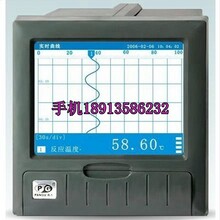 杭州盘古蓝屏无纸炉温烘箱电压力流量记录仪VX5200RVX5300VX5100R