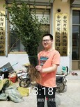 湘潭市枳壳苗哪家好种植方法图片5