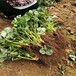 韶关市新品种草莓苗价格保姆式扶持