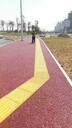 鳳縣承接公路隧道防水工程華縣承接高鐵站防滲工程
