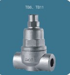 TB11疏水阀生产30余年图片2