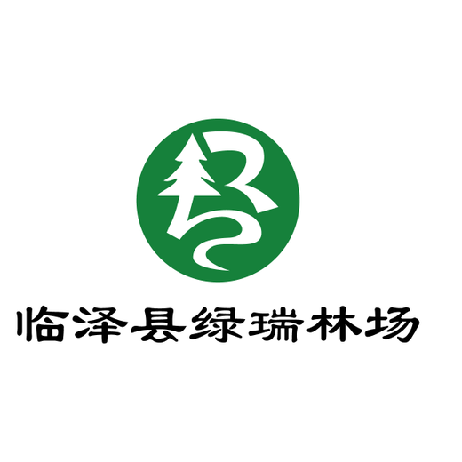 和田市梭梭种子、和田市梭梭苗子质量如何