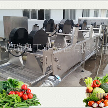 净菜生产线设备-山东净菜生产线-根茎类蔬菜清洗机图片