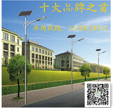新疆阿克苏太阳能路灯厂家/6米30瓦锂电池太阳能路灯价格图片1