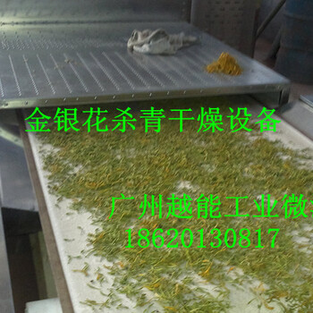 微波金银花烘干设备