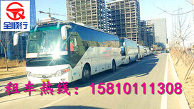 北京丰台大巴租车公司北京班车租赁北京商务租车图片3