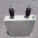 电力电气配件BWF11-400-1WBWF12-100-1W高压并联电容器