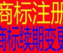 沙中太注册公司、沙中太代办工商营业执照