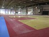 英利奥PVC塑胶地板-高端球场地面施工单位