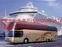 郑州到招远直达客车176/9806//8282多少钱图片1