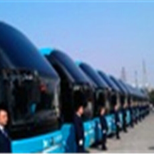 郑州到广元大巴车承接个人团体包车顺带宠物货物找哪家