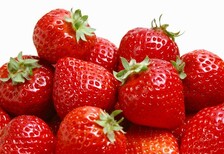 冬天可以栽植草莓苗苗嘛草莓苗苗深加工市场草莓苗苗价格v图片3