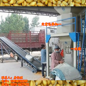 小麦袋装机20-60公斤自动计量每小时360包