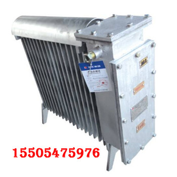 厂家RB-2000/127(A)煤矿用防爆电热取暖器
