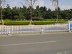 钦州市政道路交通隔离防爬防跨护栏栏杆