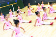 宁波小孩子学舞蹈学中国舞哪里好