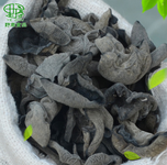 供应野寨茶树菇批发价格茶树菇厂家可代工贴牌食用菌厂家有机食品