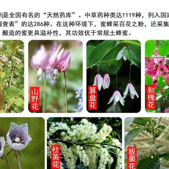 枇杷蜜蜂蜜兩斤冬蜜