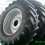 捆草机轮胎380/85R30农用轮胎14.9R30型号图片0