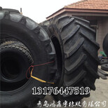 草场草坪机轮胎340/85R28图片1