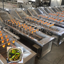酸菜生产线-酱腌菜提升机-酱菜生产线
