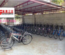 南京共享自行车停车架图片