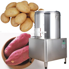 安順飯店用土豆芋頭脫皮機30kg薯仔脫皮機生產廠家直銷圖片