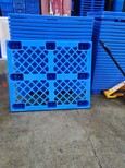 福州胶栈板，吉安塑料栈板，宜春塑料栈板，荆州塑料栈板图片2