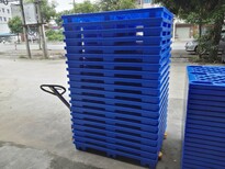 福州胶栈板，吉安塑料栈板，宜春塑料栈板，荆州塑料栈板图片4