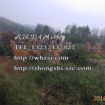 武漢鐘乳石太湖石靈壁石品種樣式-武漢風(fēng)景石廠家銷售
