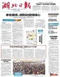 湖北日报广告登报电话多少图片