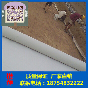 滌綸短纖針刺土工布