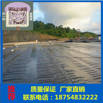 土工膜HDPE防滲膜
