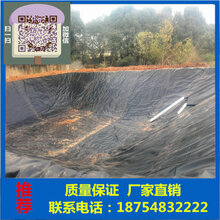 养猪场沼液池防渗膜价格图片