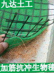 山东抗冲植被毯厂家椰丝纤维资产毯保湿绿化