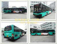 发布2017温州公交车两侧车身广告图片4
