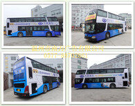 发布2017温州公交车两侧车身广告图片5