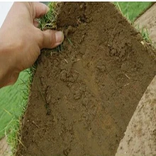 廣東惠州綠順草場基地