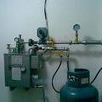 LPG气化炉200kg电热式气化器/加热炉