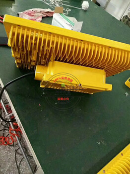 防水防尘防腐灯300W_加油站罩棚防爆应急灯