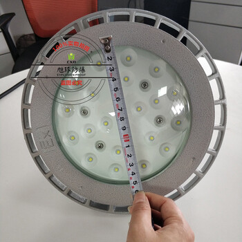 防爆投光灯,化工厂防爆投光灯70W