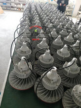 防爆路燈燈具140W,冰庫防爆路燈燈具