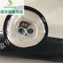 安徽华阳生产防爆耐腐蚀采样管线RG0103-2烟气伴热管线