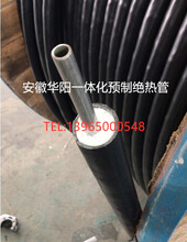 华阳供应恒功率烟气伴热采样复合管TH2200/2Φ86 80 米  脱硫伴热管线