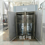 食用菌烘干机热风循环烘箱农产品热风干燥箱图片5