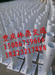 西藏PVC塑钢护栏图片2